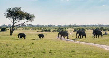 assets/images/11-days-zimbabwe-and-botswana-safari.jpg