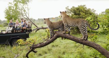 assets/images/13-days-south-africa-zimbabwe-wildlife-tour.jpg